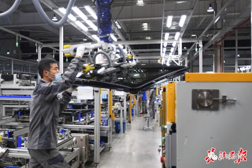 偉巴斯特武漢工廠提前三月投產，區(qū)域外資集聚效應凸顯